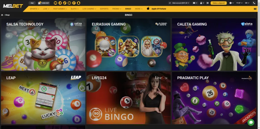 Play Bingo at Melbet Casino